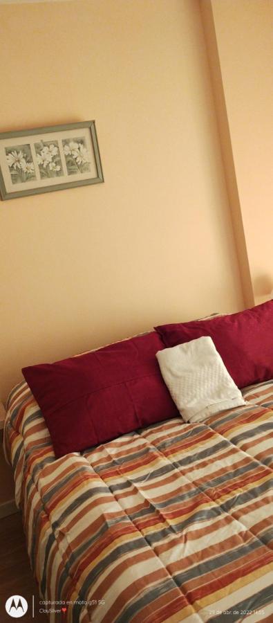 Acogedor Monoambiente Con Parking Apartment Neuquen Exterior photo